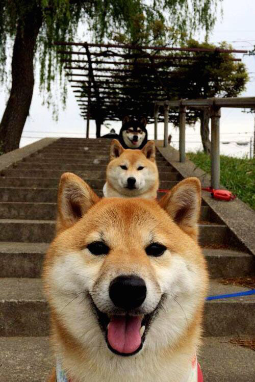 九游网游官网-今年联盟助攻榜：最精彩的传球瞬间都有哪些？，篮球传球助攻